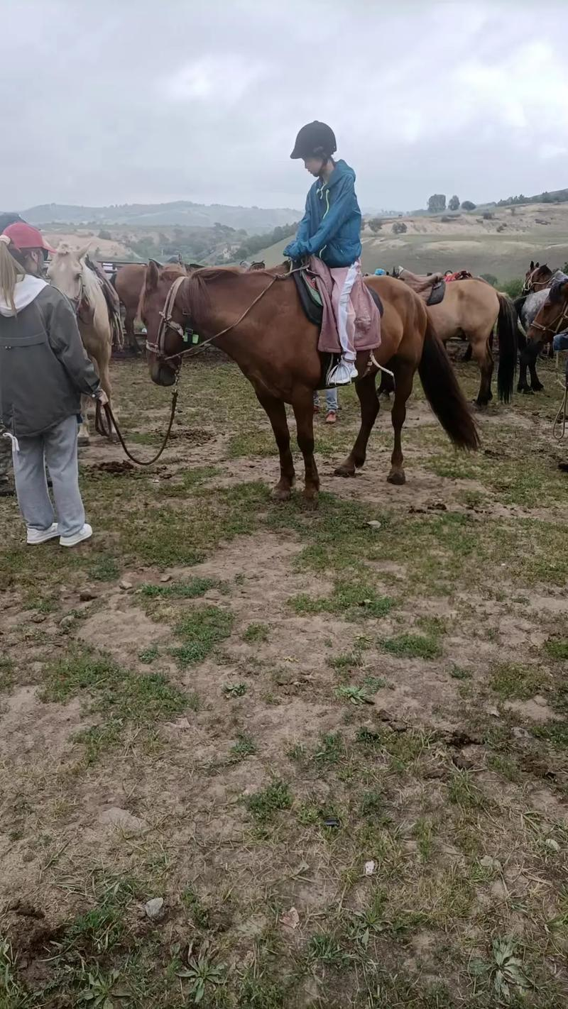 特色草原骑马体验比赛，感受民族风情