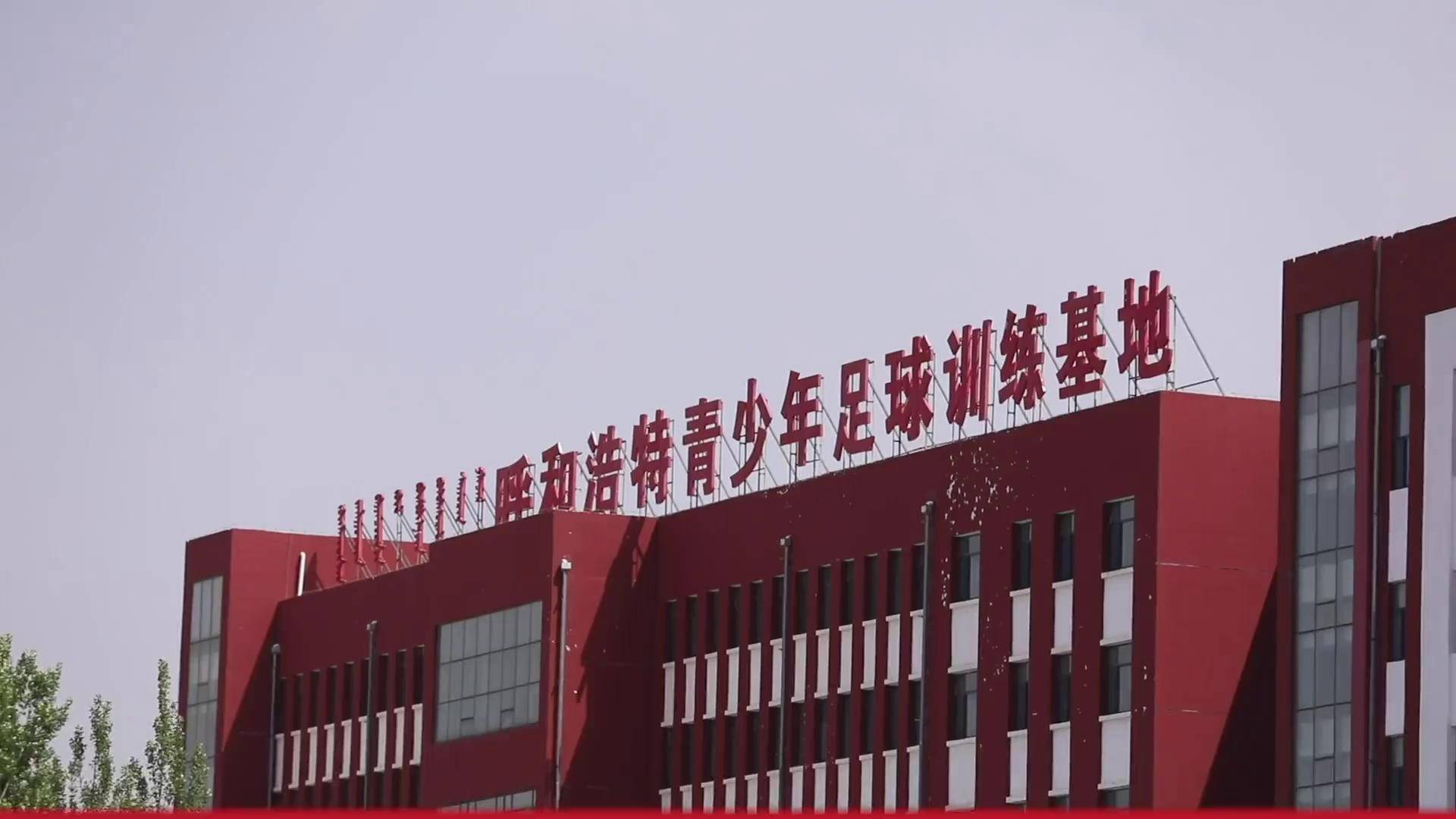 全国足球青训示范基地建设全面加快，行业标准不断升级的简单介绍