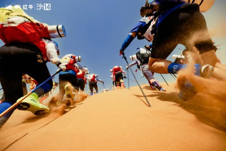 开云APP下载-关于赛道逆境：面对沙尘暴的应对之道的信息