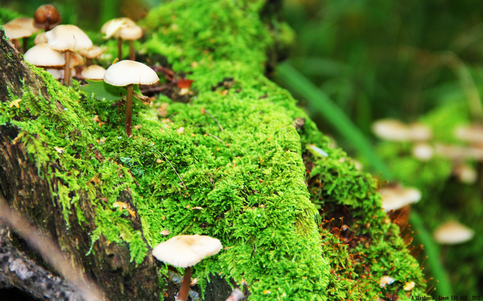 西甲奇迹逆转：经典瞬间流传千古！，西甲巅峰时期