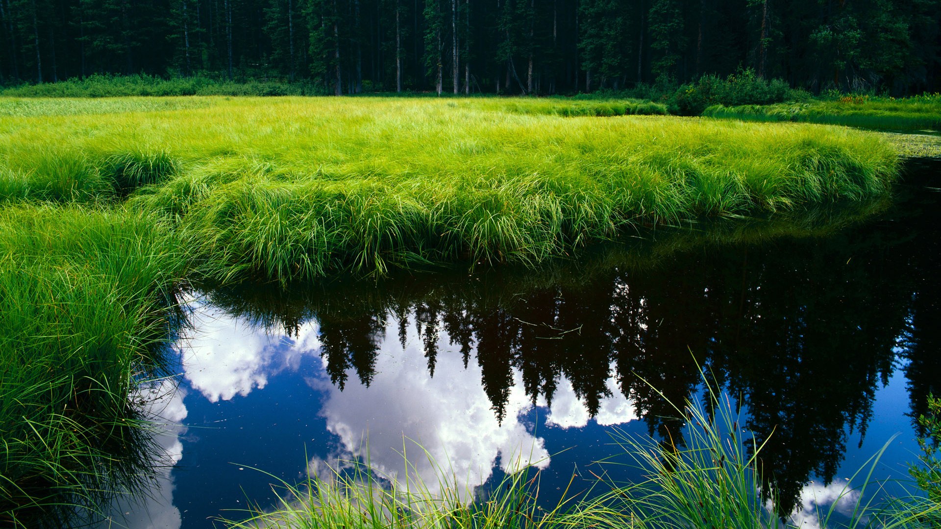 开云娱乐app安全登录-里奇·麦考在世界杯赛场上的表现，令人无法忘怀，麦考为什么离开勇士